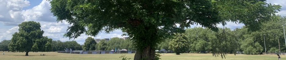 agoldberg’s blog